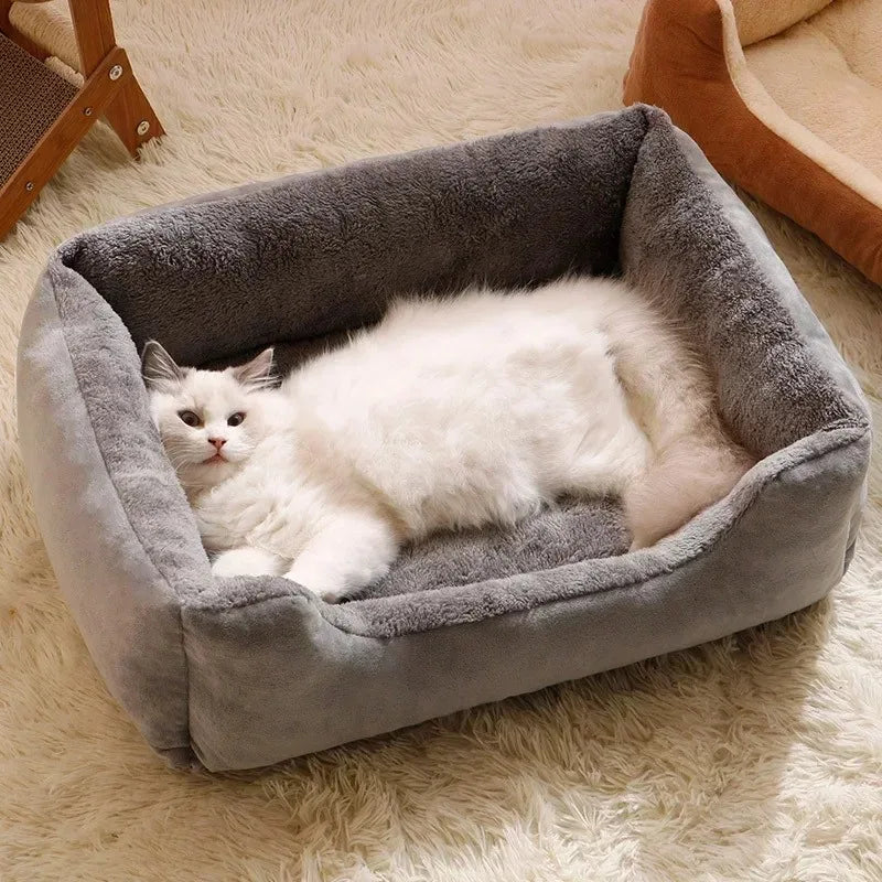 Cats Bed for house