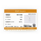 Anziw Classic Charm Cross Pendant Necklace 925 Sterling Silver Moissanite