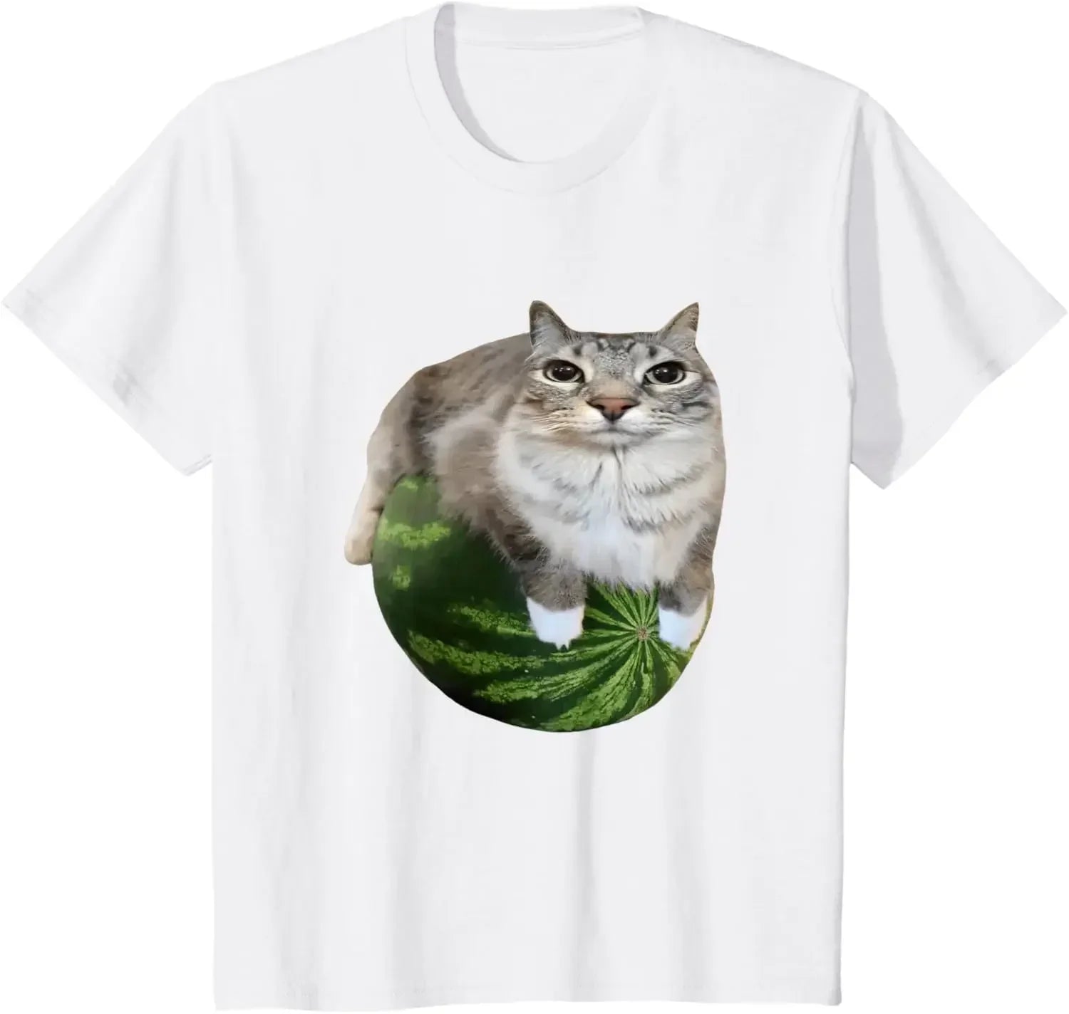 Cat Silly Cat Meme T-Shirt A Hilarious Watermelon Print Shirt