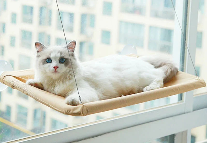 Pet Cat Hammock Hanging Cat Bed Bearing Comfortable