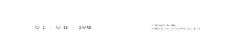 Taoya  Micro Set Zircon Round