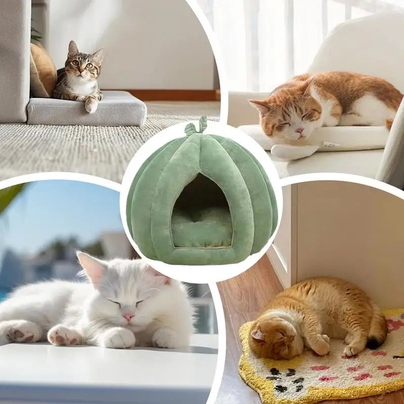 Pumpkin Cat Bed Deep Sleep Comfort In Winter Cat Bed Warm Cat House Enclosed Cat Bed Pets Tent Cozy Cave Nest Indoor Cat Nest