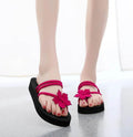 Summer Women Slippers Outdoor Light Weight Cool Shoes Indoor House Ladies Flat Flip-flop Black Non-slip Basic Home Sandals - Imbasat