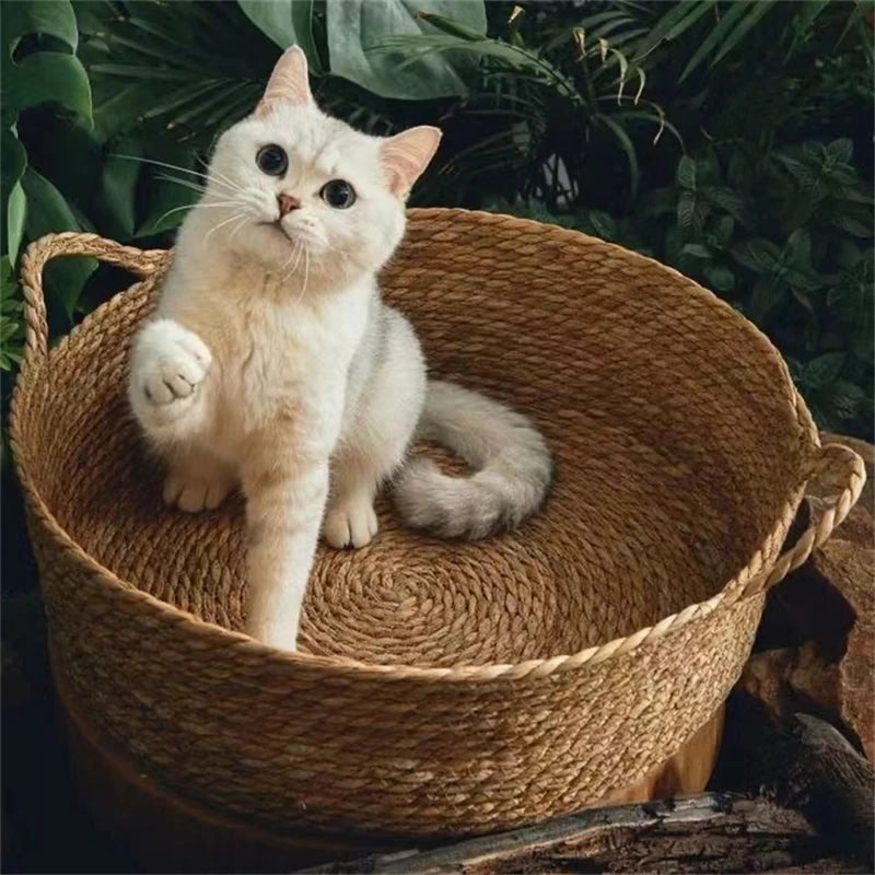 Cat Gog Bed Rattan Four Season Cat Bed Summer Cool Nest