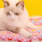 Flannel Mat For Pets Thicken Sleeping Mat