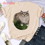 Watermelon Cat Silly Cat Meme T-Shirt A Hilarious Watermelon