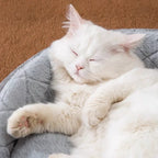 Cat Bed Pet Dog House Winter Cat Villa Sleep Kennel