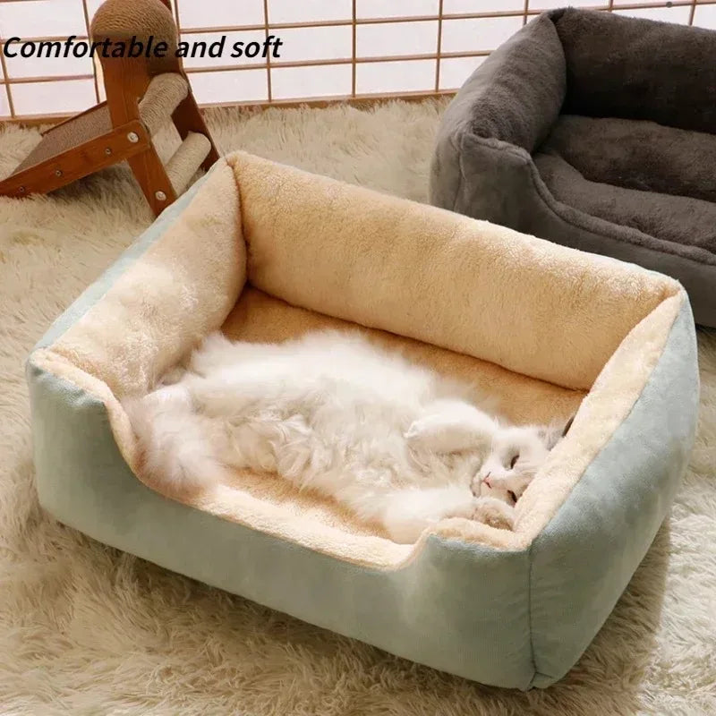 Cats Bed for house