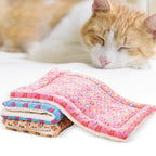 Flannel Mat For Pets Thicken Sleeping Mat