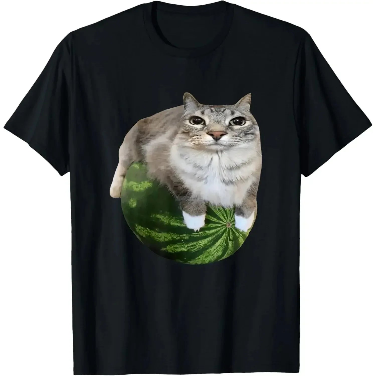 Cat Silly Cat Meme T-Shirt A Hilarious Watermelon Print Shirt
