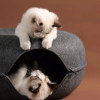 Cat Cave Nest Round House