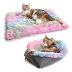 Cat Beds for Indoor