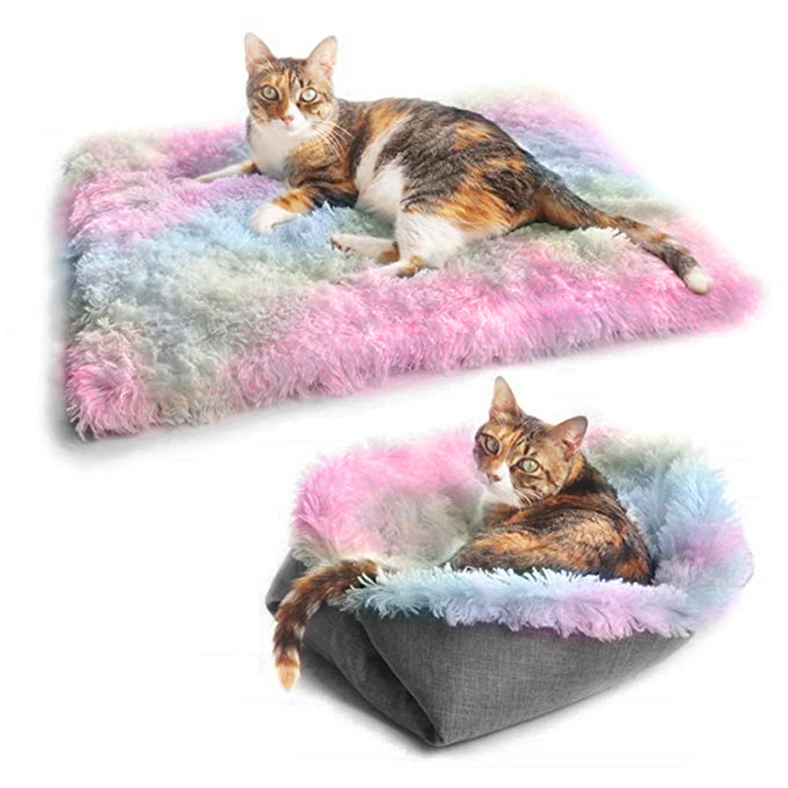 Cat Beds for Indoor
